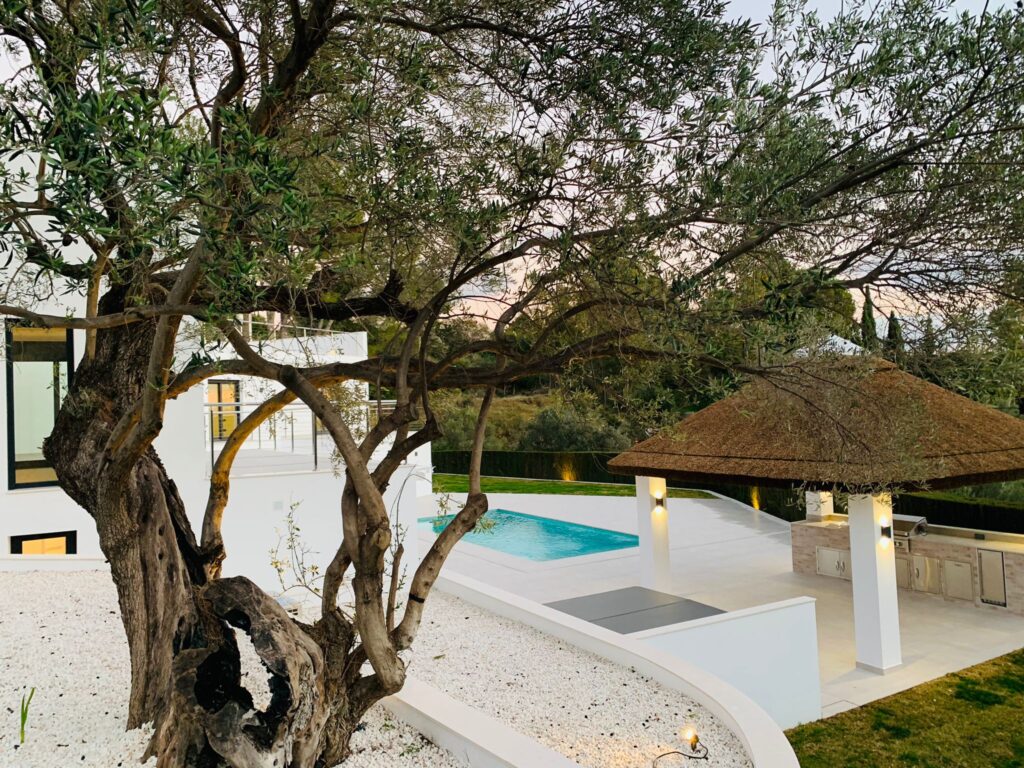 Tree bed, pergola and lighting