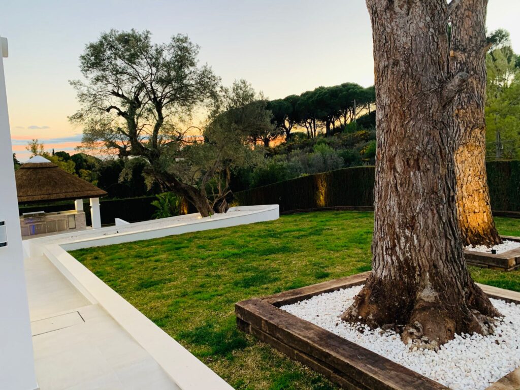 Landscaped garden around tree 