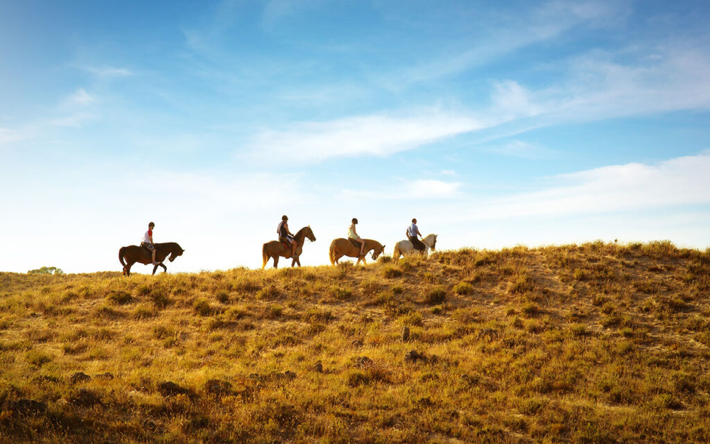 Horse back riding in nature