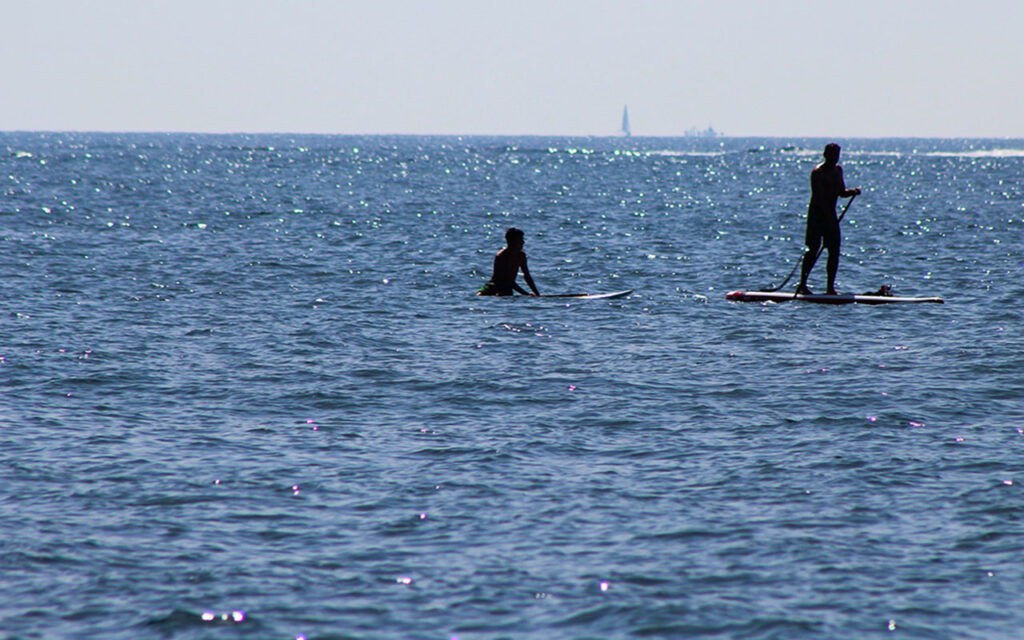 Paddle boarding in the sea