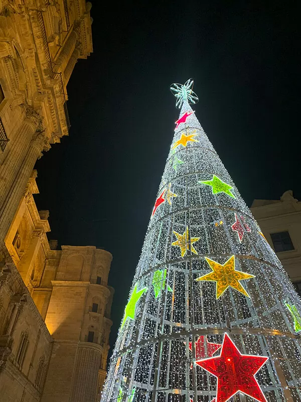Celebrating Christmas in Málaga with ProMas Building