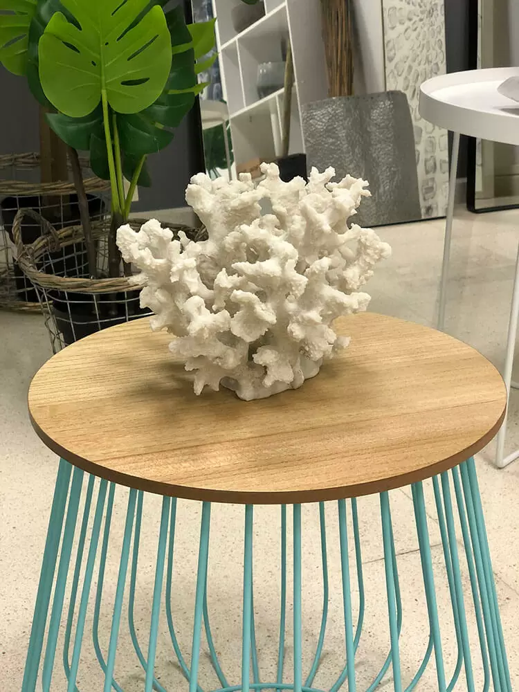 Showroom Coral