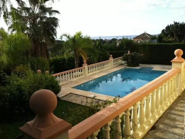 Pool with dolphin design