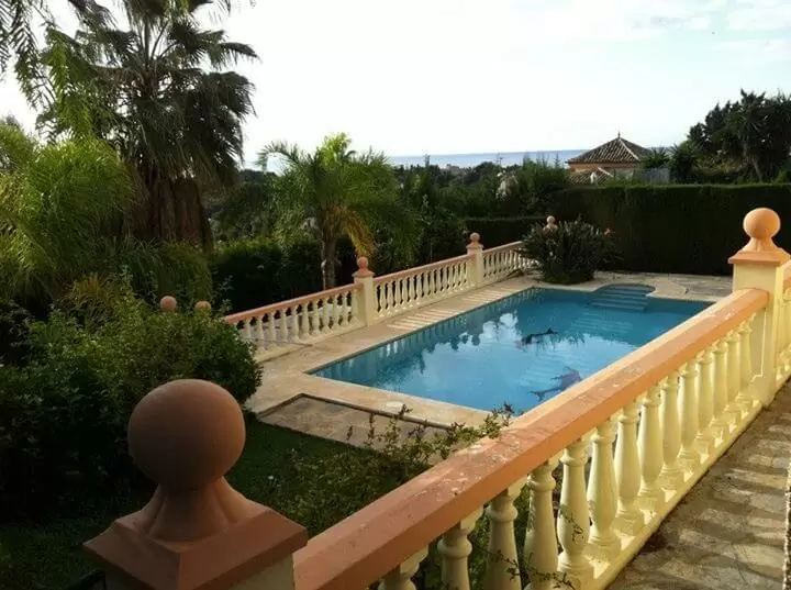 Pool with dolphin design
